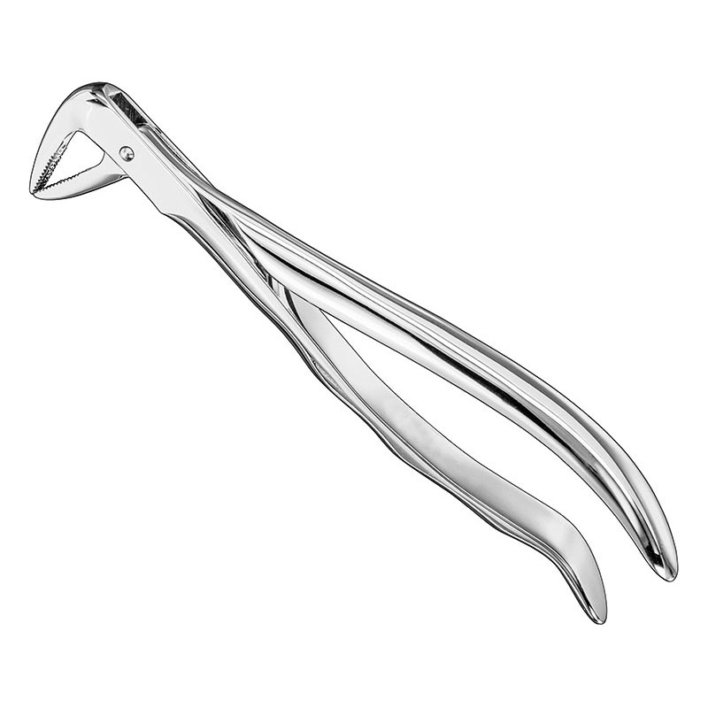 Extracting forceps, anat.
