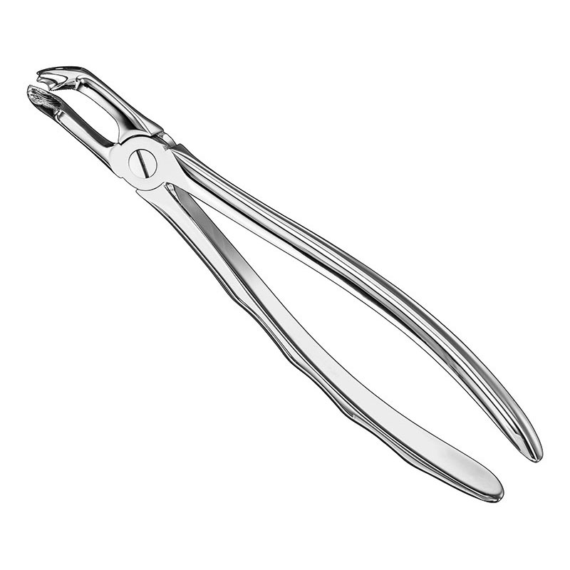 Extracting forceps, anat.