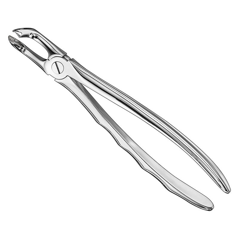 Extracting forceps, anat.