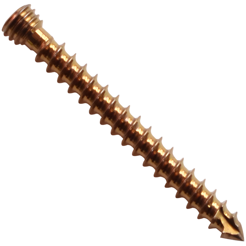 4.5mm locking screw